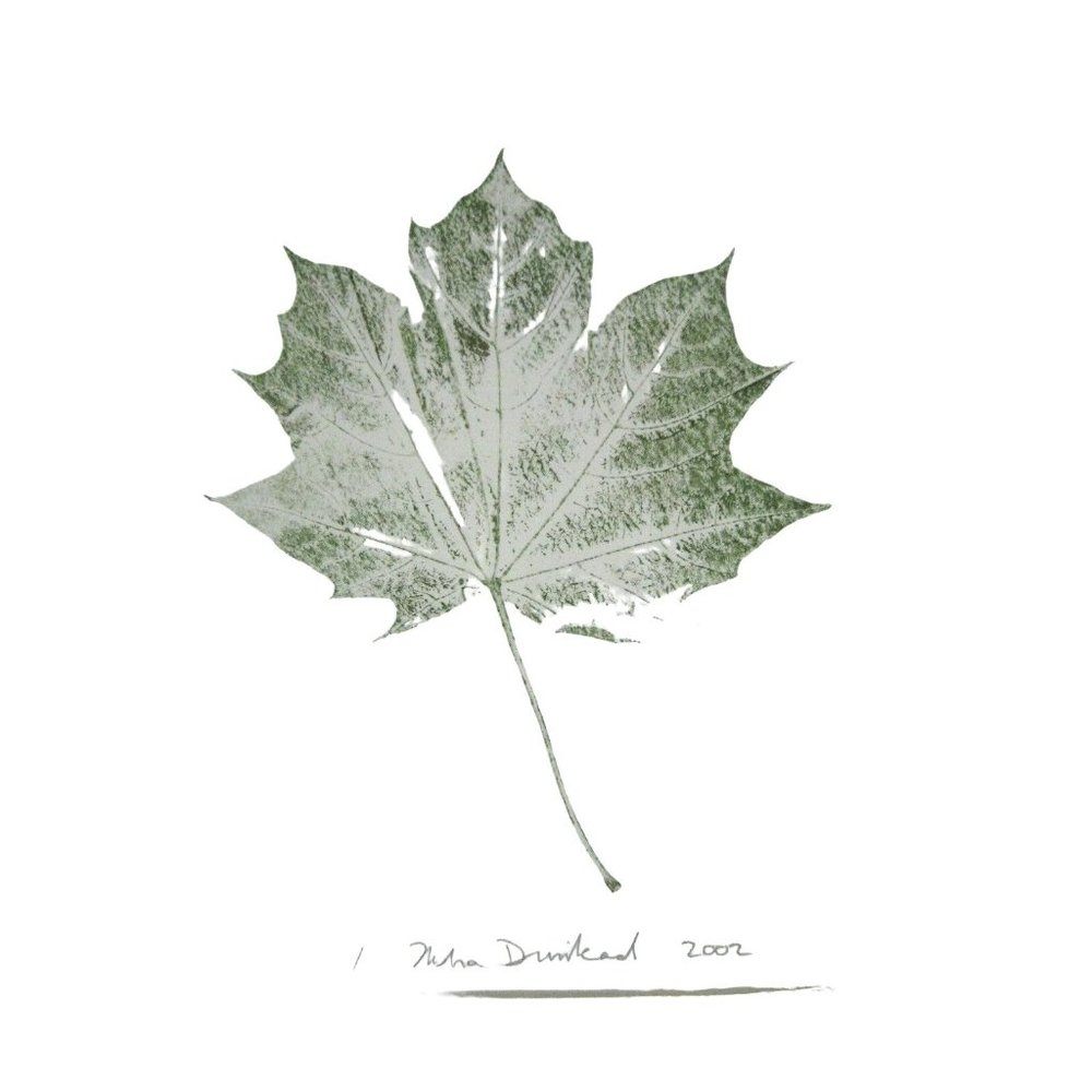 Botanical Print Leaf 8 x 10 Inch Decor Monoprint Green Leaves Mat Matted